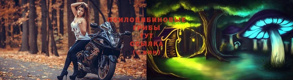 прущая мука Бородино
