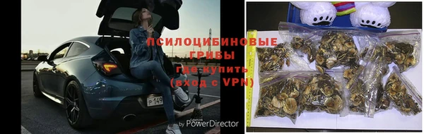 прущая мука Бородино