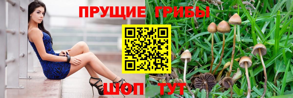 Воркута  Галлюциногенные грибы мицелий  Вход с VPN 