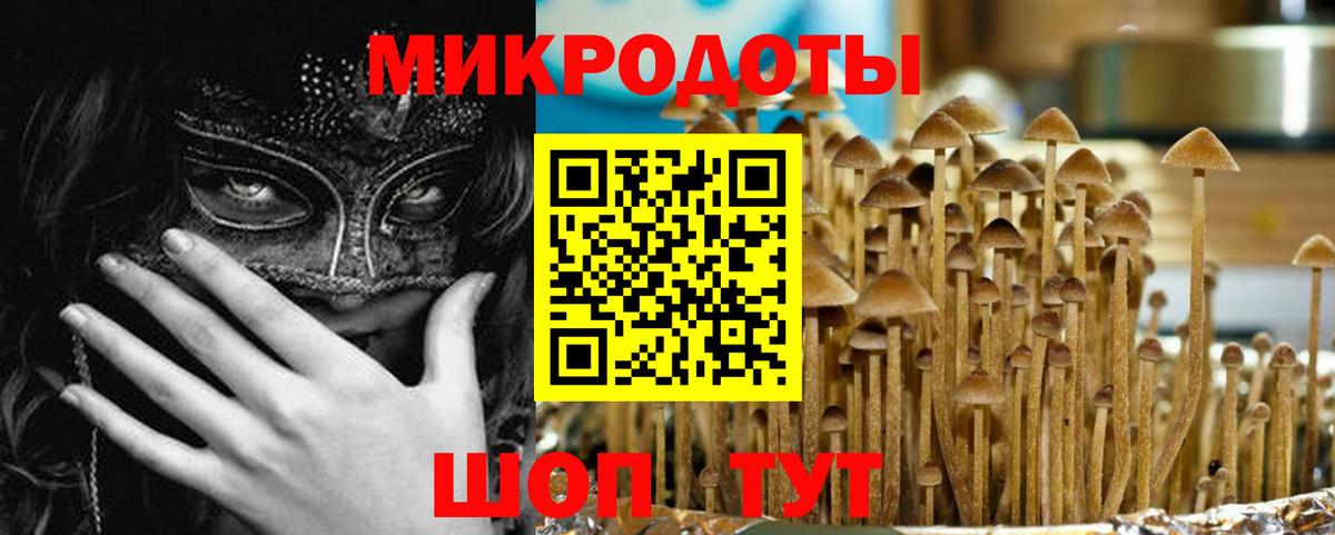 Галлюциногенные грибы мицелий Воркута